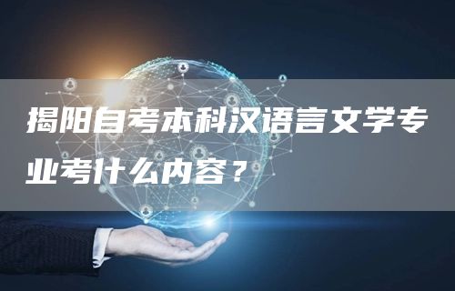 揭阳自考本科汉语言文学专业考什么内容？