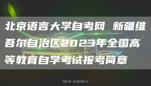 北京语言大学自考网 新疆维吾尔自治区2023年全国高等教育自学考试报考简章(图1)