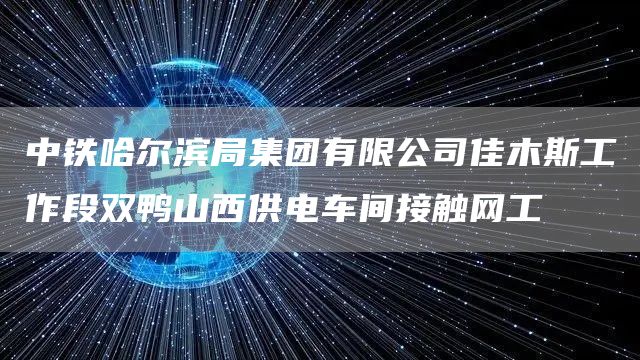 中铁哈尔滨局集团有限公司佳木斯工作段双鸭山西供电车间接触网工(图1)