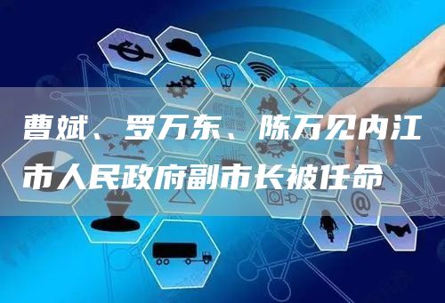 曹斌、罗万东、陈万见内江市人民政府副市长被任命(图1)