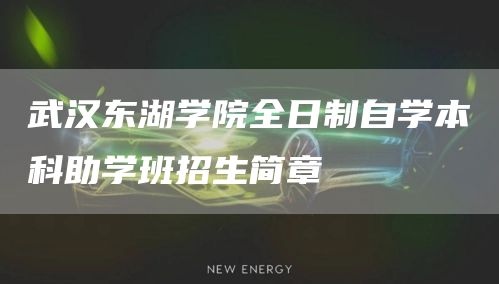 武汉东湖学院全日制自学本科助学班招生简章(图1)