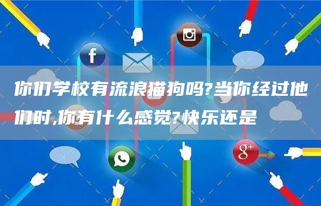 你们学校有流浪猫狗吗?当你经过他们时,你有什么感觉?快乐还是