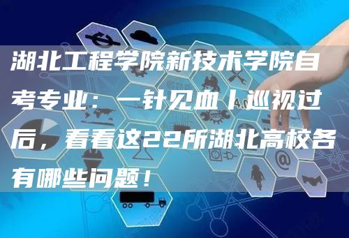 湖北工程学院新技术学院自考专业：一针见血丨巡视过后，看看这22所湖北高校各有哪些