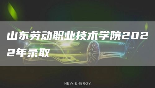 山东劳动职业技术学院2022年录取