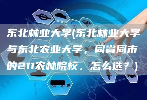 东北林业大学(东北林业大学与东北农业大学，同省同市的211农林院校，怎么选？)(图1)