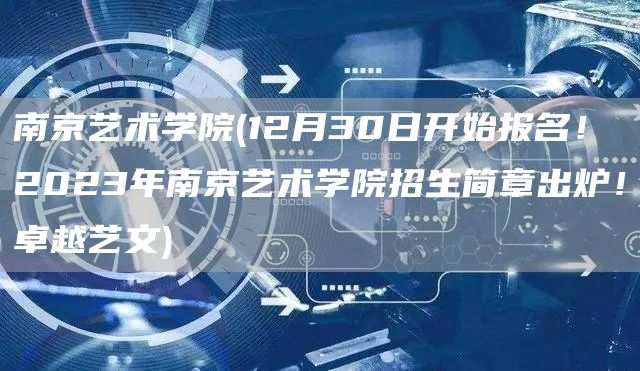 南京艺术学院(12月30日开始报名！2023年南京艺术学院招生简章出炉！卓越艺文