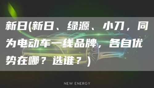 新日(新日、绿源、小刀，同为电动车一线品牌，各自优势在哪？选谁？)(图1)