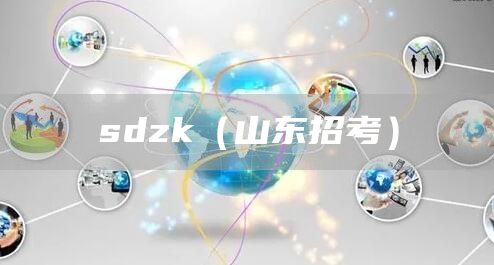 sdzk（山东招考）