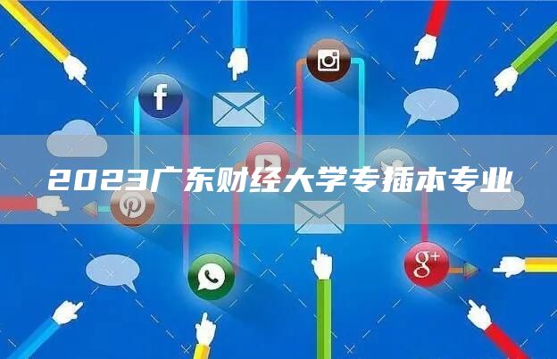 2023广东财经大学专插本专业