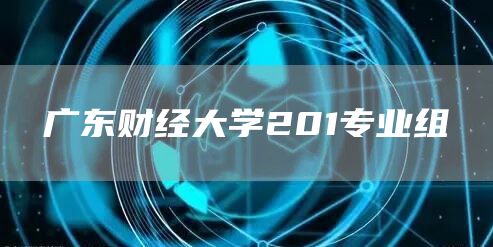 广东财经大学201专业组