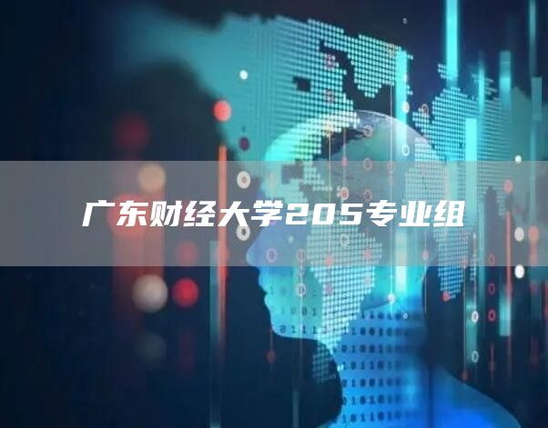 广东财经大学205专业组