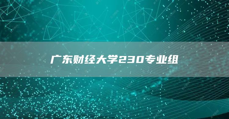 广东财经大学230专业组