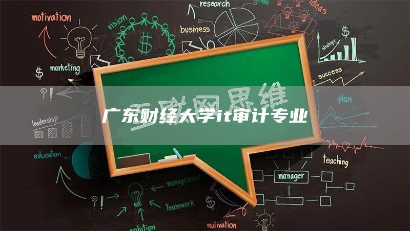 广东财经大学it审计专业