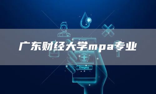 广东财经大学mpa专业