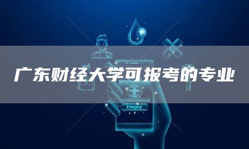 广东财经大学可报考的专业