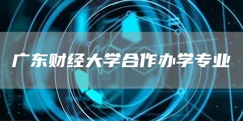 广东财经大学合作办学专业