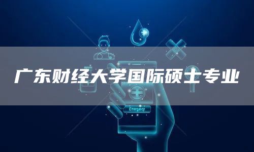 广东财经大学国际硕士专业