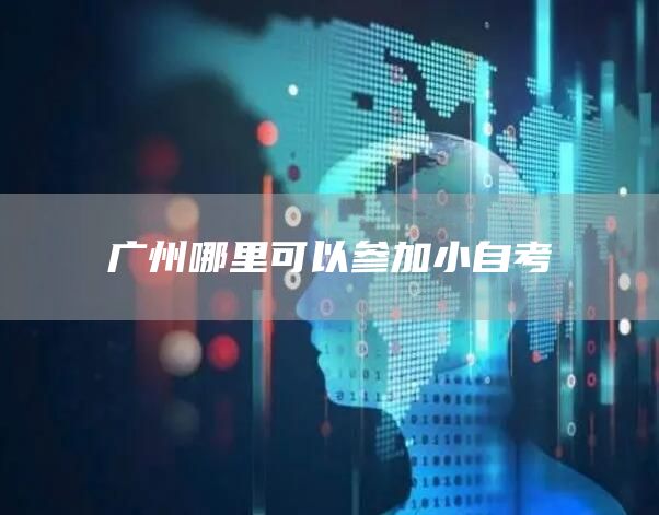 广州哪里可以参加小自考(图1)